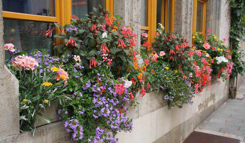 內開內倒鋁包木門窗